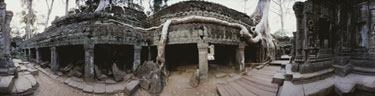 Ta Prohm Temple, Siem Reap, Cambodia